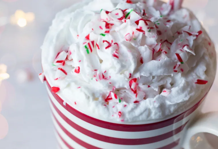 Hot chocolate Hot chocolate with whipped cream and peppermint