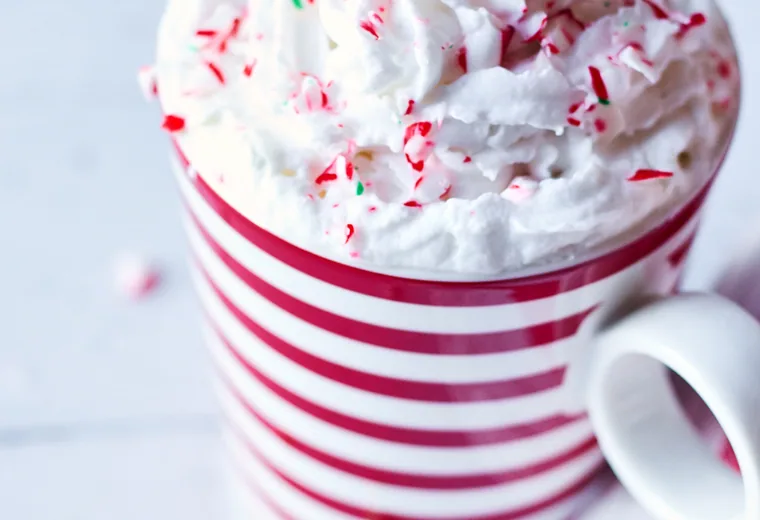 Hot chocolate with whipped cream
