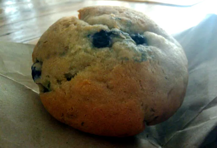 Blueberry muffin A blueberry muffin