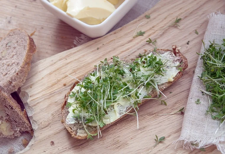 Avocado toast Avocado toast with microgreens